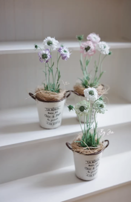 Handmade Miniature Clay Plants - Tagine Clay Pot ulasan dan harga