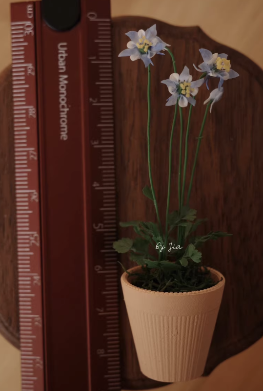 Handmade Miniature Clay Plants - Tagine Clay Pot ulasan dan harga