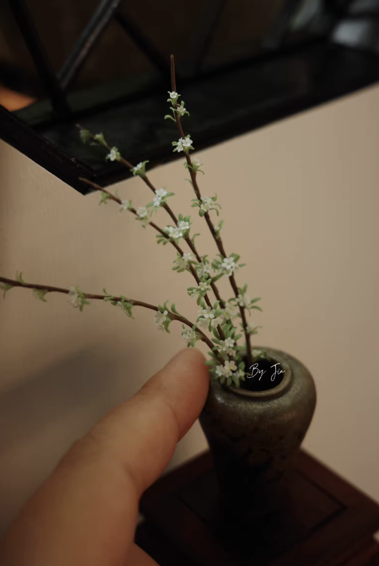 Handmade Miniature Clay Plants - Tagine Clay Pot ulasan dan harga