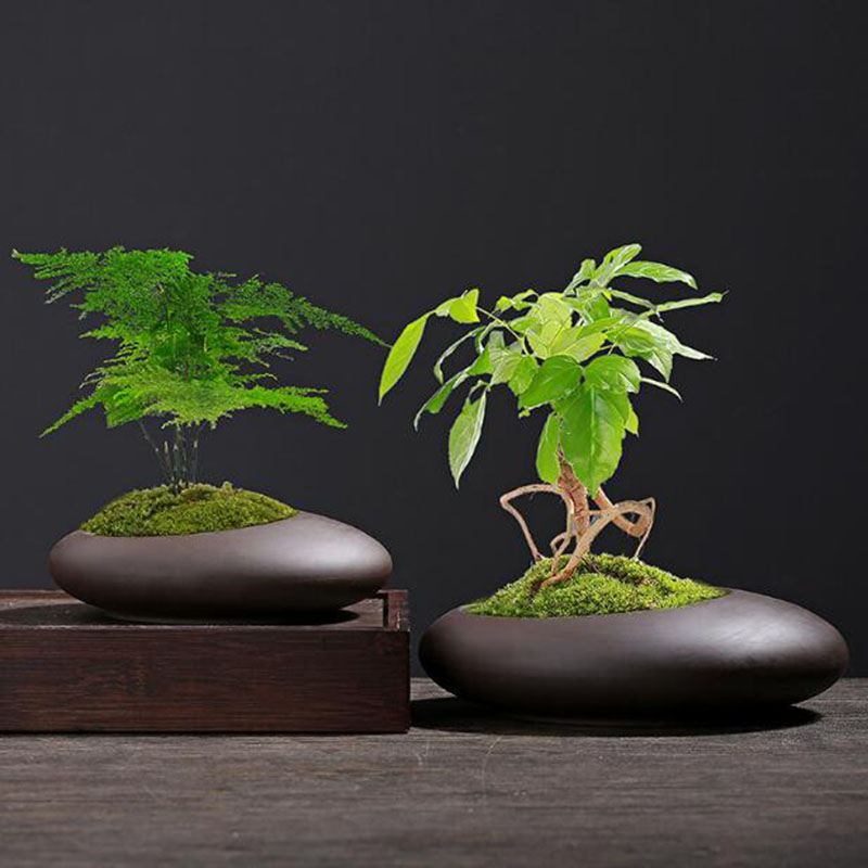 Retro Purple Clay Plant Pot Ch - Tagine Clay Pot ulasan dan harga