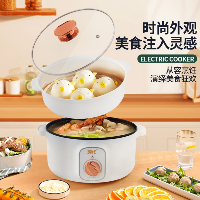 Multifunctional Mini Electric  - Home Cooking Appliances ulasan dan harga