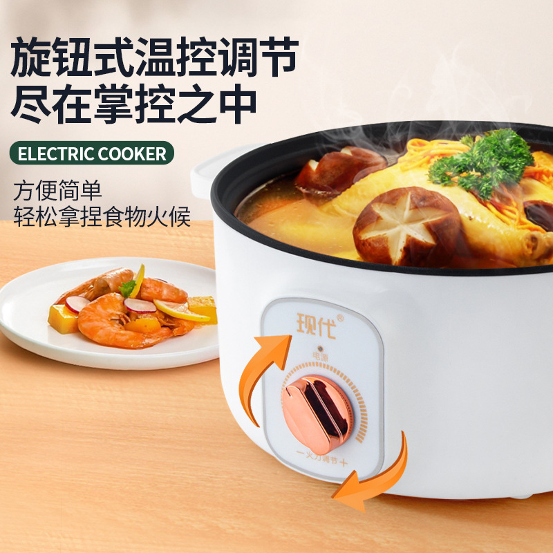 Multifunctional Mini Electric  - Home Cooking Appliances ulasan dan harga